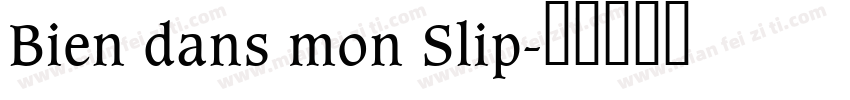 Bien dans mon Slip字体转换